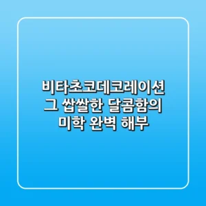 비타초코데코레이션: 그 쌉쌀한 달콤함의 미학 완벽 해부