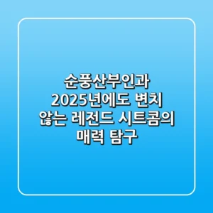 순풍산부인과, 2025년에도 변치 않는 레전드 시트콤의 매력 탐구