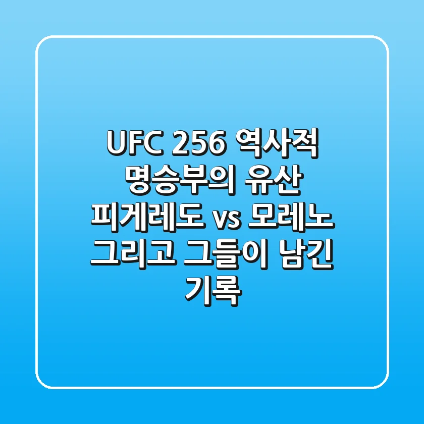 UFC 256: