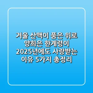 "겨울 산맥이 품은 위로", 양희은 '한계령'이 2025년에도 사랑받는 이유 5가지 총정리