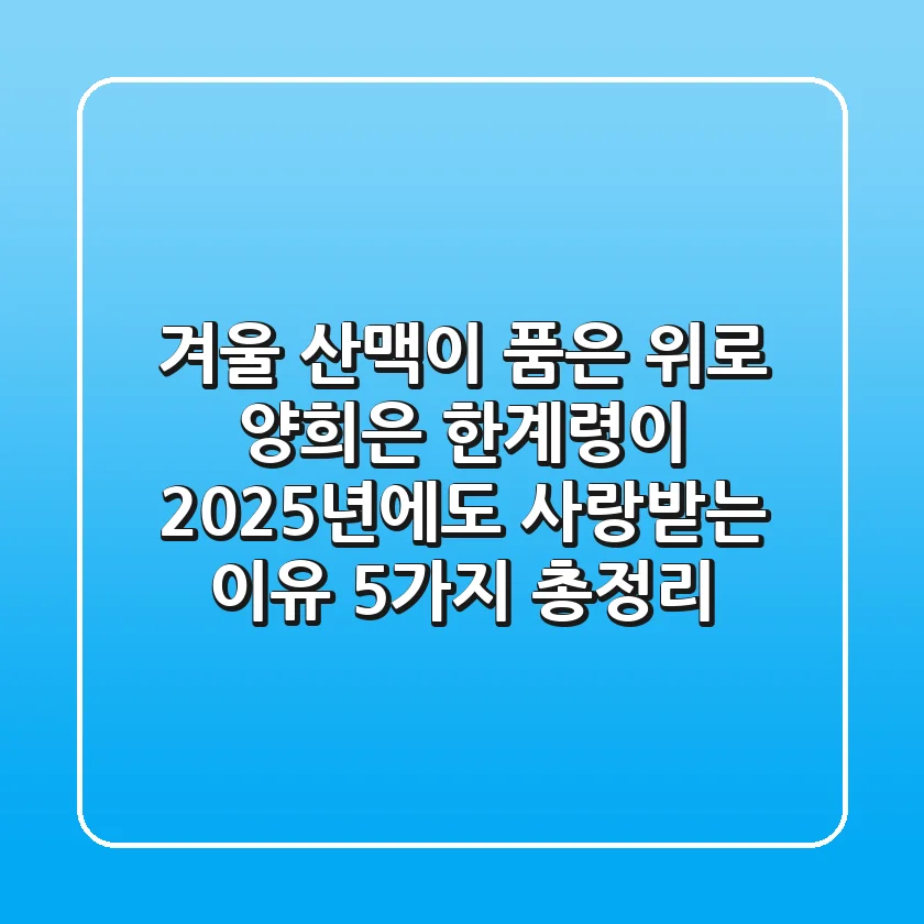 "겨울 산맥이 품은 위로", 양희은 '한계령'이 2025년에도 사랑받는 이유 5가지 총정리