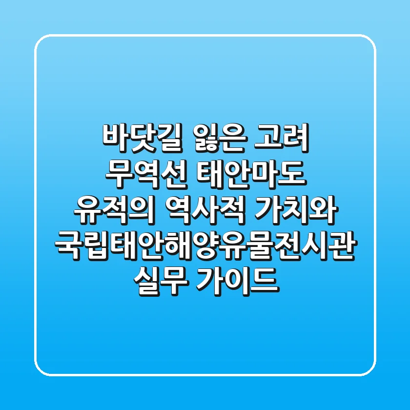 "바닷길 잃은 고려 무역선", 태안마도 유적의 역사적 가치와 국립태안해양유물전시관 실무 가이드