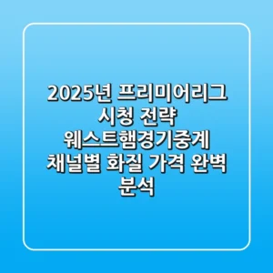 "2025년 프리미어리그 시청 전략", 웨스트햄경기중계 채널별 화질, 가격 완벽 분석