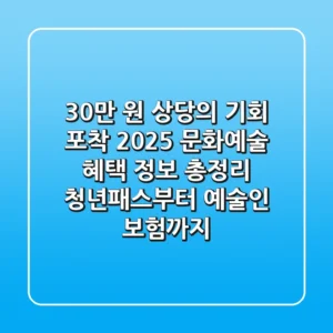 "30만 원 상당의 기회 포착", 2025 문화예술 혜택 정보 총정리: 청년패스부터 예술인 보험까지