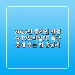"2025년 중계권 전쟁 속", TV·모바일·PC 축구 중계 보는 법 총정리