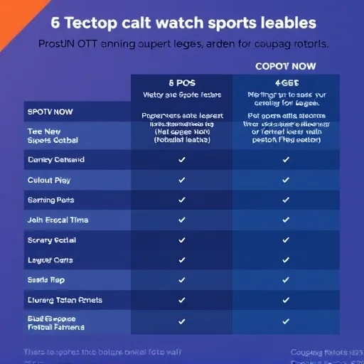 황의조 경기 중계, 최적의 시청 환경 구축 종합 솔루션